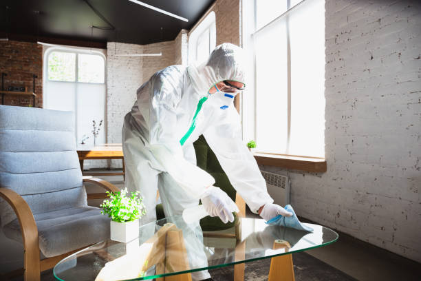 Reliable Chebanse, IL Mold Removal Services Solutions